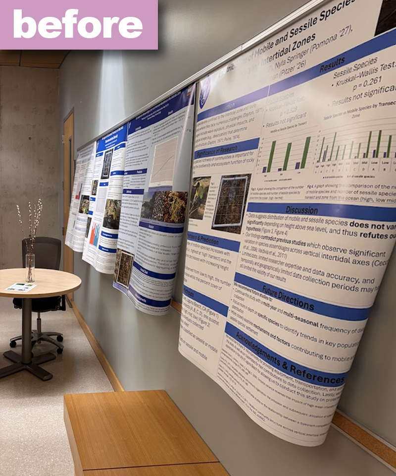 Posters hung improperly causing curling of poster edges,