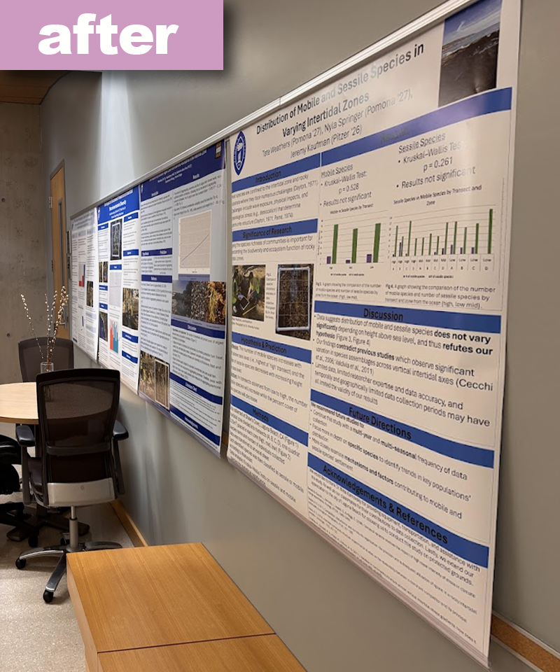 Posters hung properly with Popco snap rails preventing curling.