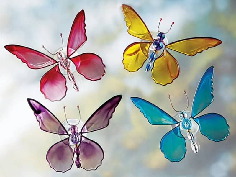 delicate little beauties